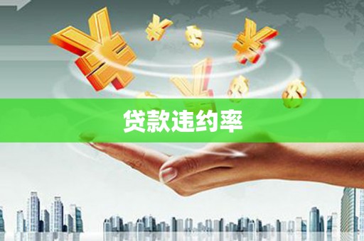 渭南贷款违约率