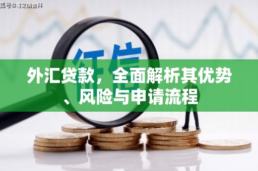 渭南外汇贷款，全面解析其优势、风险与申请流程