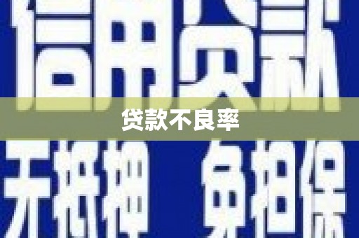 渭南贷款不良率