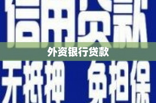 渭南外资银行贷款
