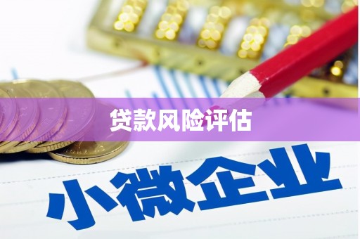 渭南贷款风险评估