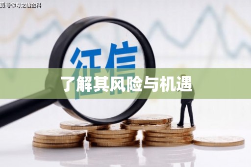 渭南了解其风险与机遇