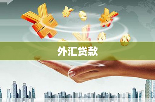 渭南外汇贷款