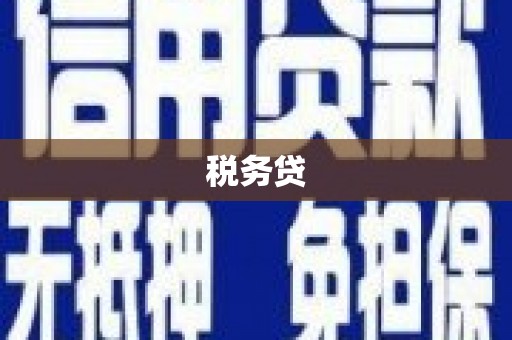 渭南税务贷