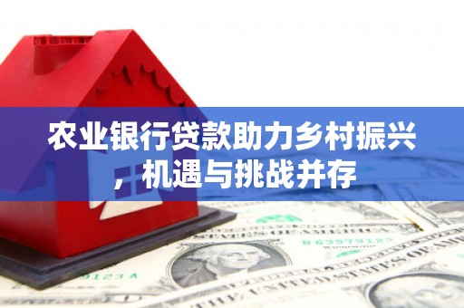 渭南农业银行贷款助力乡村振兴，机遇与挑战并存