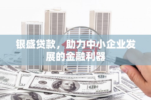 渭南银盛贷款，助力中小企业发展的金融利器