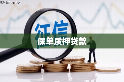 渭南保单质押贷款