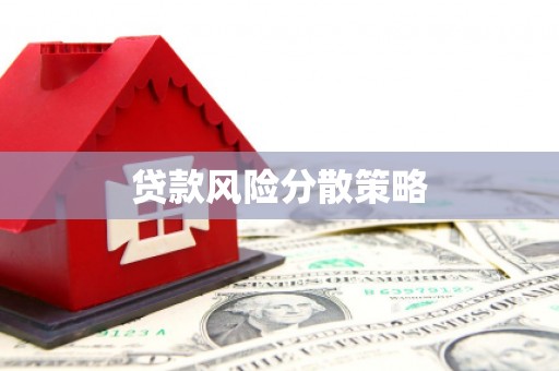 渭南贷款风险分散策略