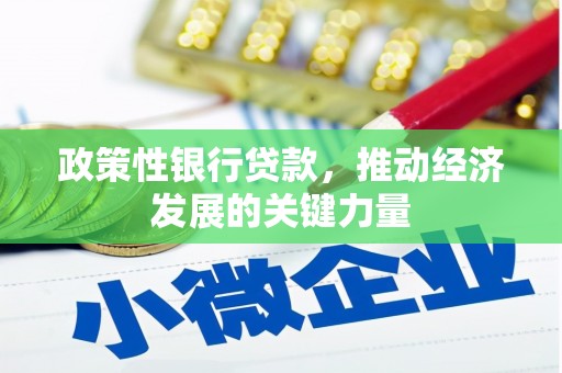 渭南政策性银行贷款，推动经济发展的关键力量