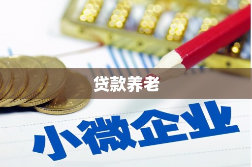 渭南贷款养老