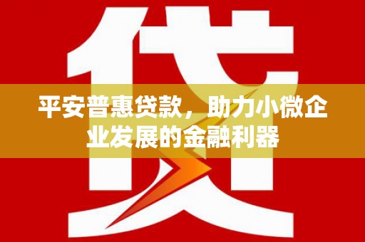 渭南平安普惠贷款，助力小微企业发展的金融利器