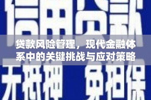 渭南贷款风险管理，现代金融体系中的关键挑战与应对策略