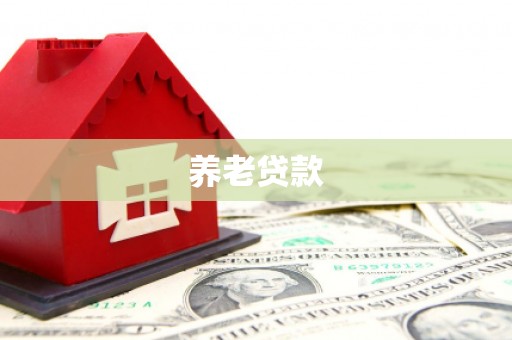 渭南养老贷款