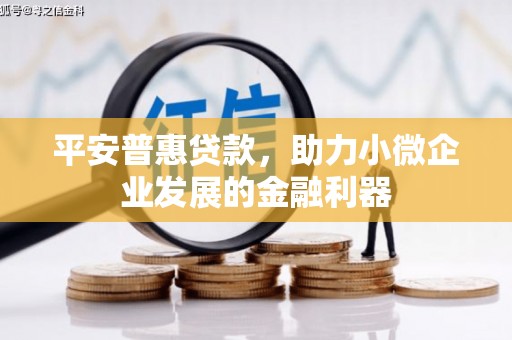渭南平安普惠贷款，助力小微企业发展的金融利器